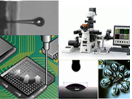 Micro Interfacial Flow and Visualization Laboratory's Image